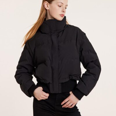 Detachable Sleeves Stand Collar Cropped Goose Down Garment