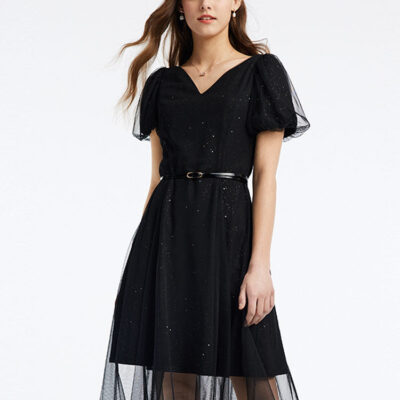 Black V-Neck Mesh Princess Sleeve Midi Dress